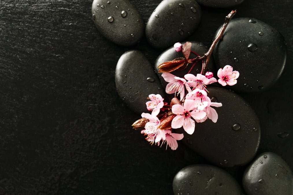 stones with pink flowers